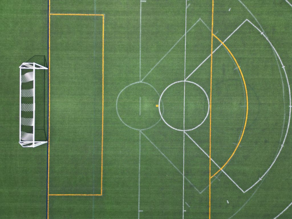 Precision marked lacrosse field by Florescu Field Robotics